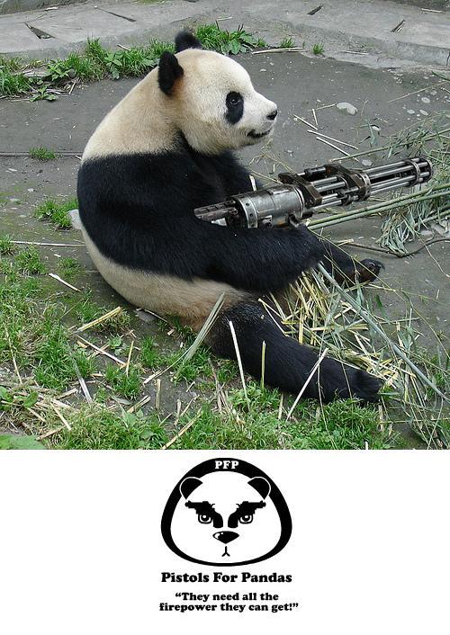funny animals with guns. Pandas Need Guns